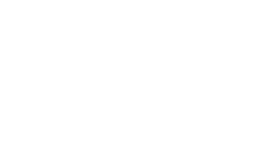 Rino Constructores