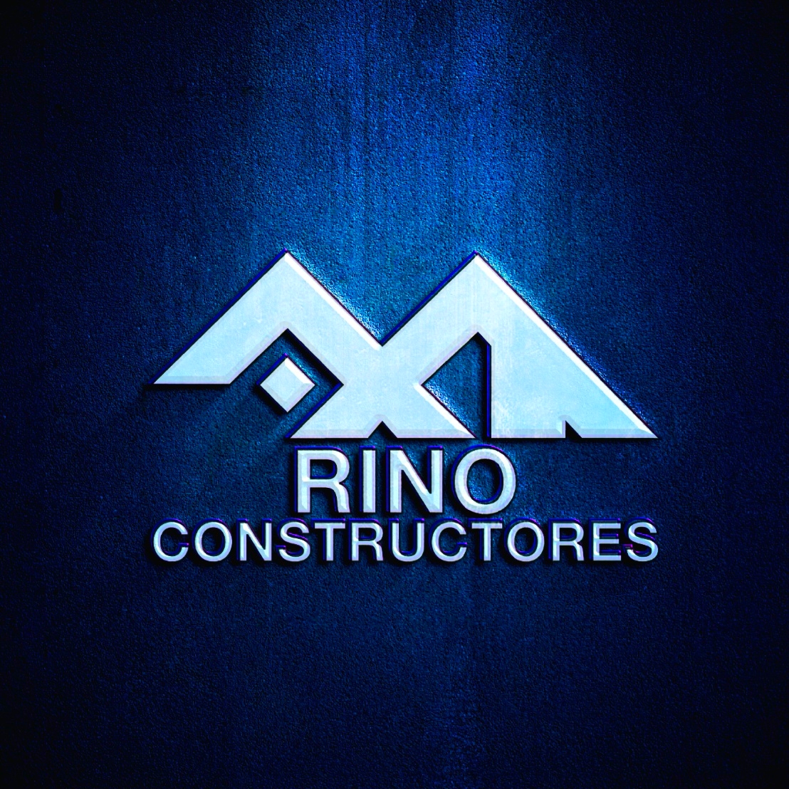 Rinoconstructores