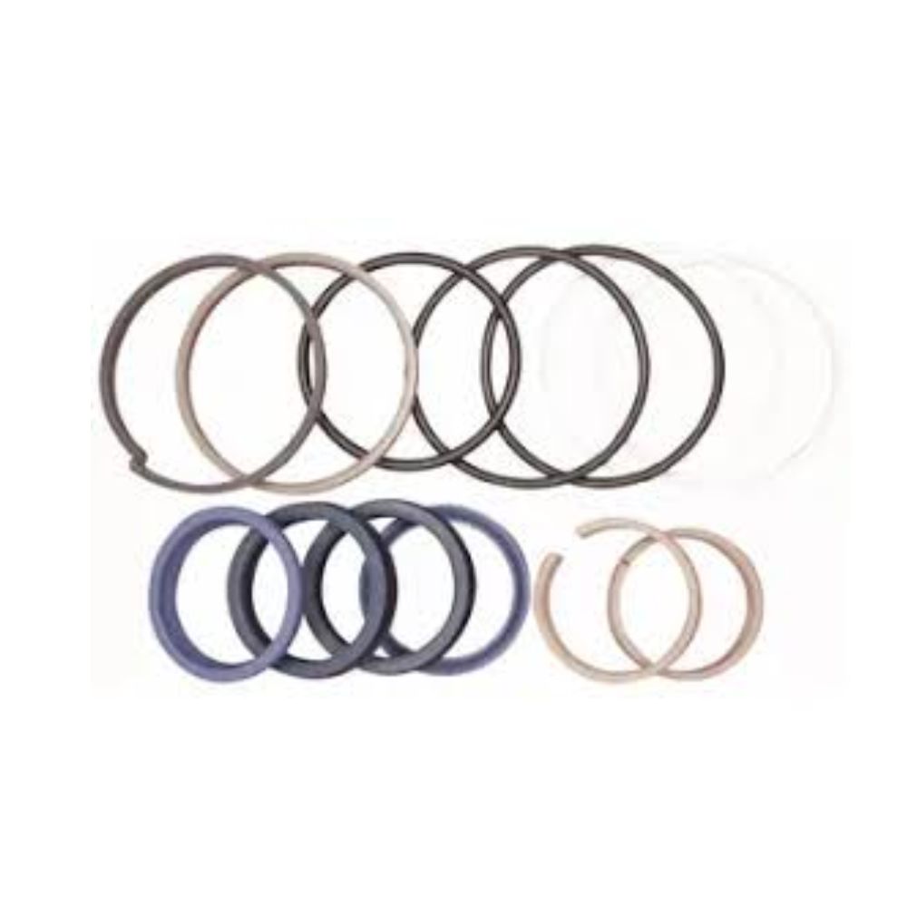 KIT SELLOS GATO DE LA PALA W-170